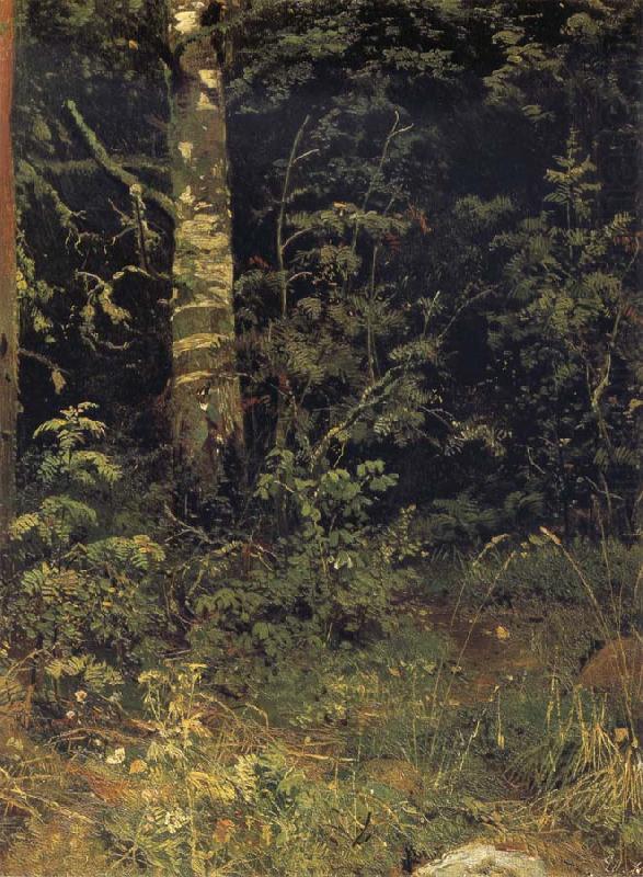 Ivan Shishkin Silver birch and mountain ash china oil painting image
